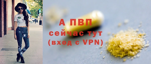 индика Мегион