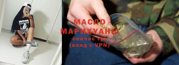 индика Мегион