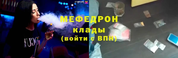 индика Мегион