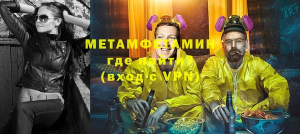 индика Мегион