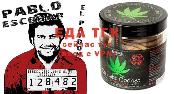 индика Мегион