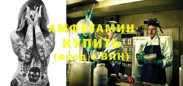 индика Мегион