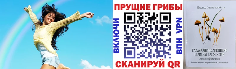 Псилоцибиновые грибы Magic Shrooms  Новоузенск 