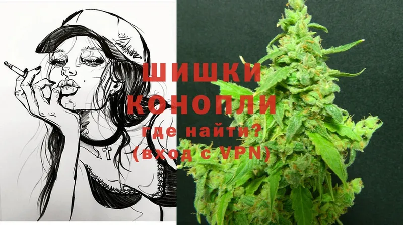 Бошки Шишки White Widow  продажа наркотиков  Новоузенск 